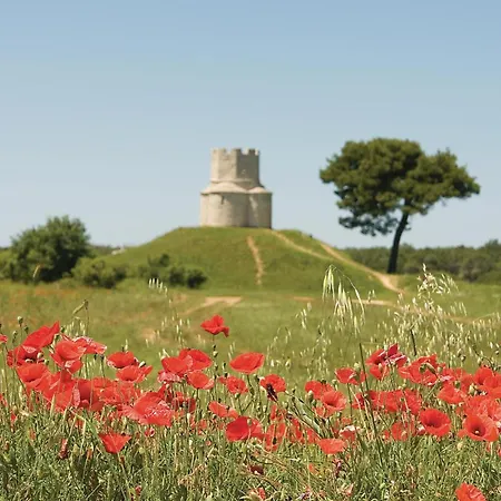 Gorgeous In With Wifi נין