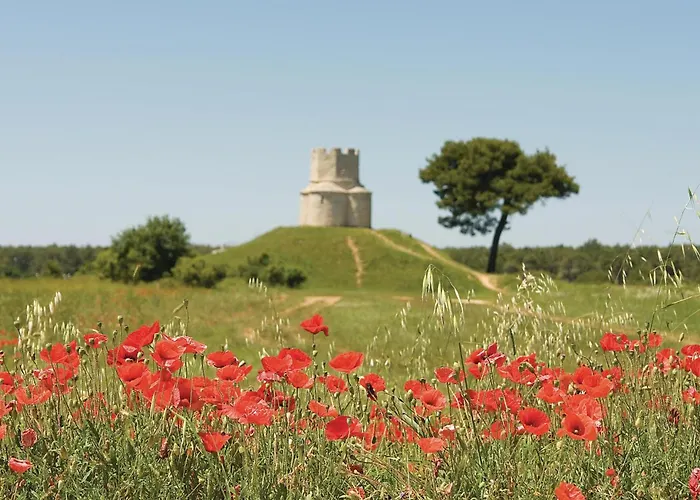 Gorgeous In With Wifi Nin